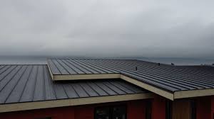 Steel Roofing in San Bruno, CA